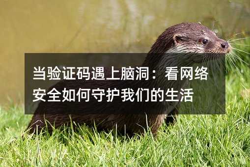 当验证码遇上脑洞:看网络安全如何守护我们的生活