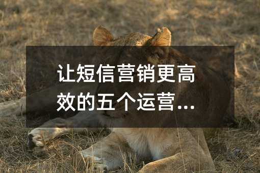 让短信营销更高效的五个运营法则