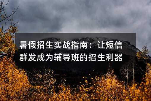 暑假招生实战指南:让短信群发成为辅导班的招生利器