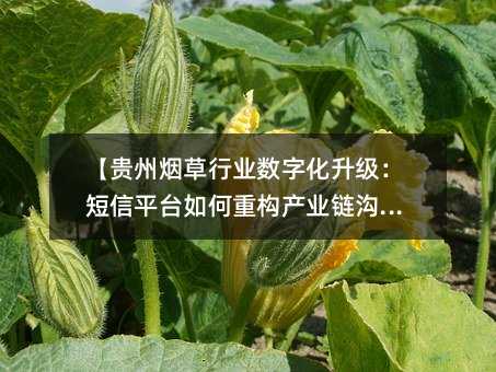 �������̲���ҵ���ֻ�����������ƽ̨����ع���ҵ����ͨ��