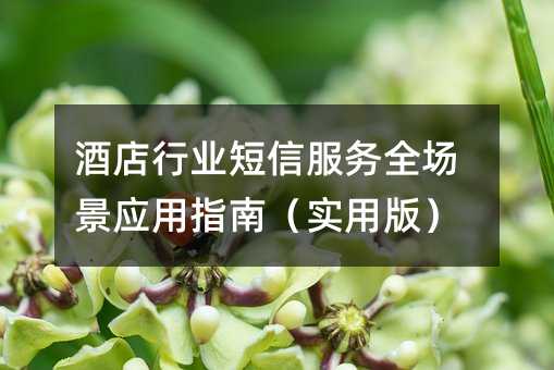 酒店行业短信服务全场景应用指南(实用版)