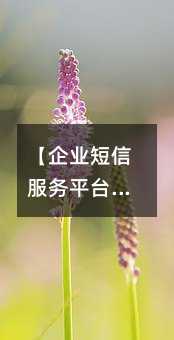 ����ҵ���ŷ���ƽ̨��ѡָ�ϣ��ܿ�����ѡ�Ժ�����顿