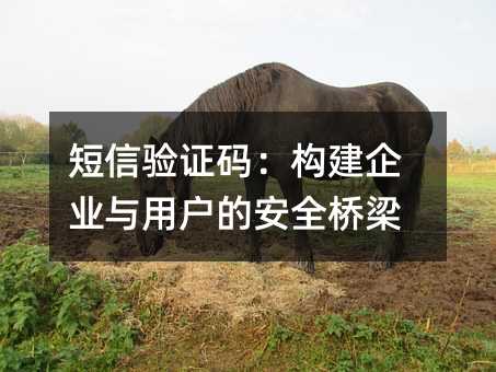 短信验证码:构建企业与用户的安全桥梁
