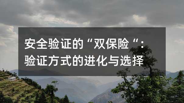 ��ȫ��֤�ġ�˫���ա�����֤��ʽ�Ľ�����ѡ��