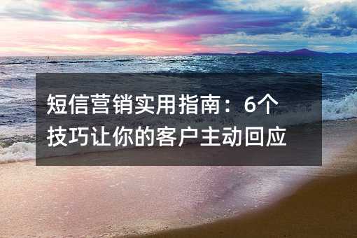 ����Ӫ��ʵ��ָ�ϣ�6����������Ŀͻ�������Ӧ