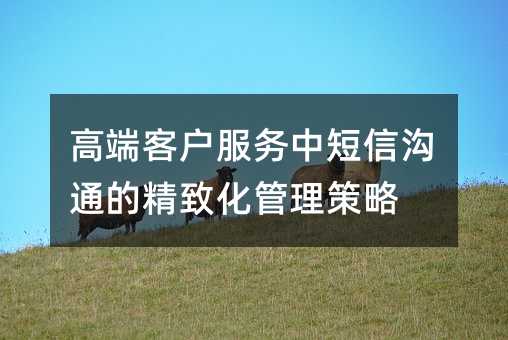 ¸ß¶Ë¿Í»§·þÎñÖжÌÐŹµÍ¨µÄ¾«Ö»¯¹ÜÀí²ßÂÔ