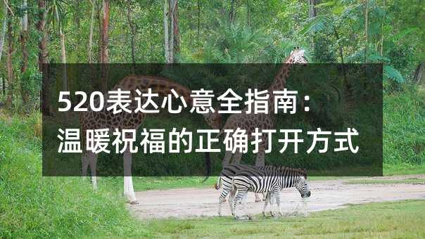 520��������ȫָ�ϣ���ůף������ȷ�򿪷�ʽ