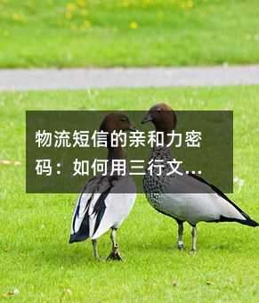 �������ŵ��׺������룺��������������Ż��û�����