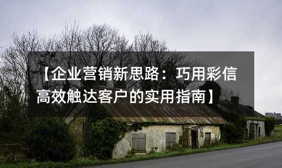 【企业营销新思路:巧用彩信高效触达客户的实用指南】