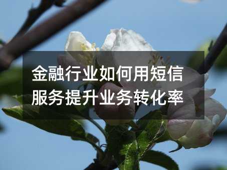 金融行业如何用短信服务提升业务转化率
