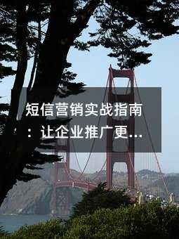 ����Ӫ��ʵսָ�ϣ�����ҵ�ƹ����Ч�������ؼ�����