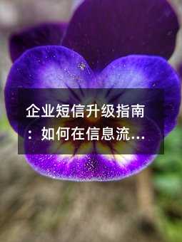 ��ҵ��������ָ�ϣ��������Ϣ����ץס�û���ע����