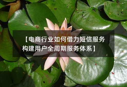 【电商行业如何借力短信服务构建用户全周期服务体系】