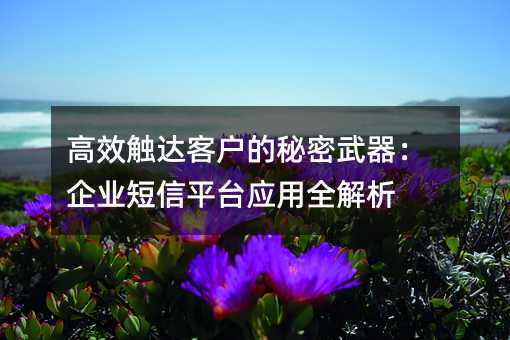 ��Ч����ͻ���������������ҵ����ƽ̨Ӧ��ȫ����