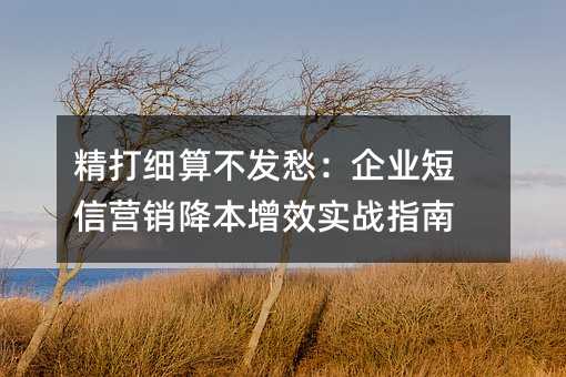 精打细算不发愁:企业短信营销降本增效实战指南