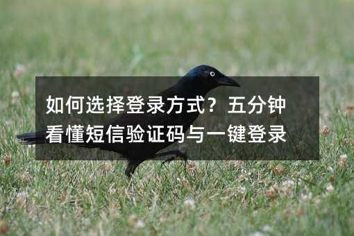 ���ѡ���¼��ʽ������ӿ���������֤����һ����¼