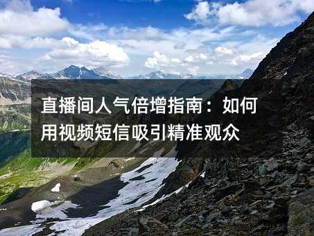 ֱ������������ָ�ϣ��������Ƶ����������׼����