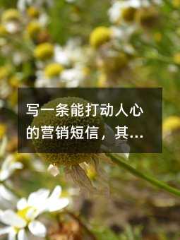дһ���ܴ����ĵ�Ӫ�����ţ���ʵ�з���