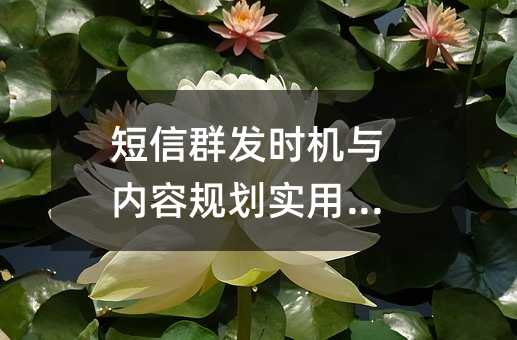 短信群发时机与内容规划实用指南