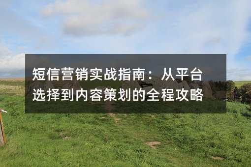 短信营销实战指南:从平台选择到内容策划的全程攻略