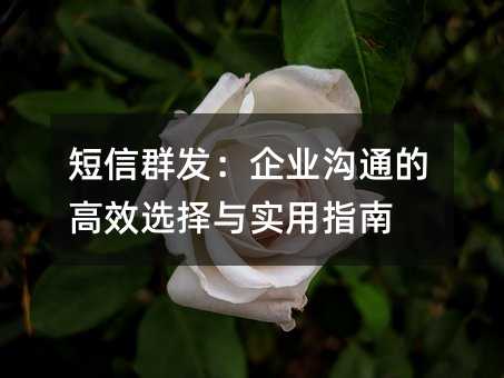 短信群发:企业沟通的高效选择与实用指南