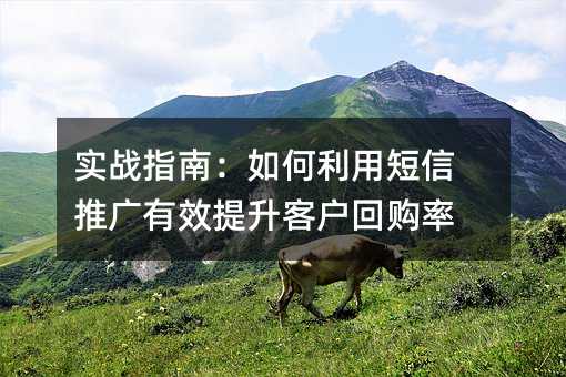 实战指南:如何利用短信推广有效提升客户回购率
