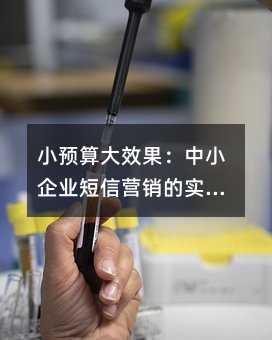 小预算大效果:中小企业短信营销的实战指南