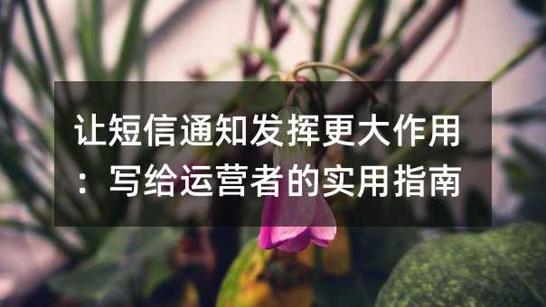 让短信通知发挥更大作用:写给运营者的实用指南