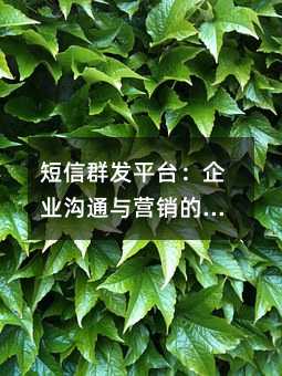短信群发平台:企业沟通与营销的实用工具