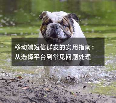 移动端短信群发的实用指南:从选择平台到常见问题处理