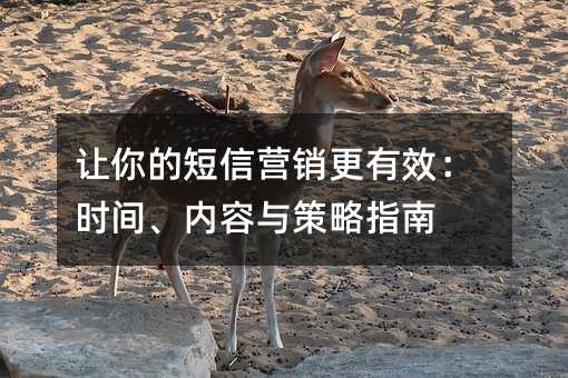 让你的短信营销更有效:时间、内容与策略指南