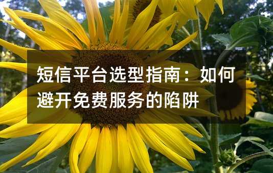 短信平台选型指南:如何避开免费服务的陷阱