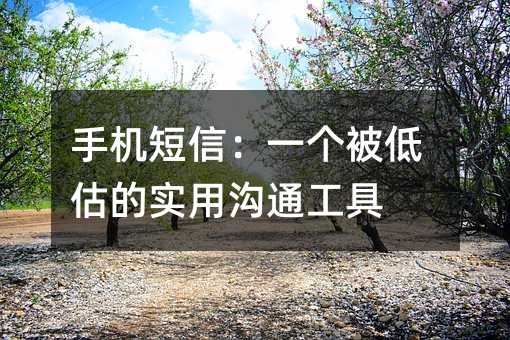 手机短信:一个被低估的实用沟通工具