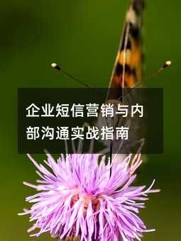 ��ҵ����Ӫ�����ڲ���ͨʵսָ��