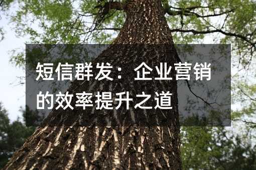 短信群发:企业营销的效率提升之道