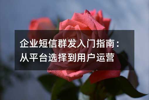 企业短信群发入门指南:从平台选择到用户运营