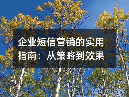 企业短信营销的实用指南:从策略到效果