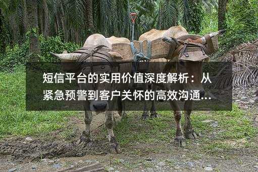 短信平台的实用价值深度解析:从紧急预警到客户关怀的高效沟通之道
