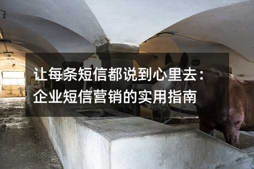 让每条短信都说到心里去:企业短信营销的实用指南