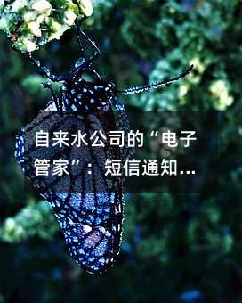 自来水公司的“电子管家”:短信通知如何让缴费不再头疼