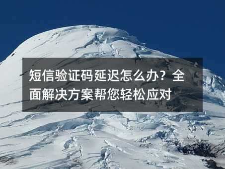 短信验证码延迟怎么办?全面解决方案帮您轻松应对