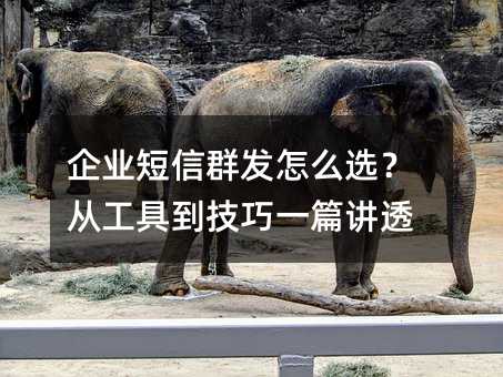 ��ҵ����Ⱥ����ôѡ���ӹ��ߵ�����һƪ��͸