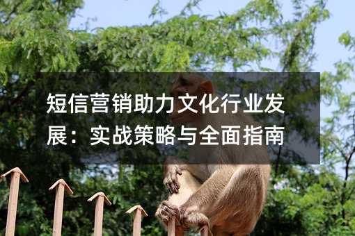 短信营销助力文化行业发展:实战策略与全面指南