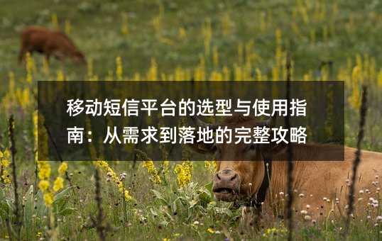 移动短信平台的选型与使用指南:从需求到落地的完整攻略
