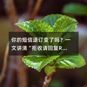 你的短信退订变了吗?一文讲清“拒收请回复R”背后的门道