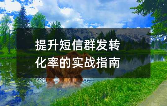 提升短信群发转化率的实战指南