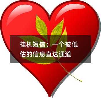 挂机短信:一个被低估的信息直达通道