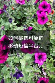�����ѡ�ɿ����ƶ�����ƽ̨���ؼ�Ҫ��������ָ��