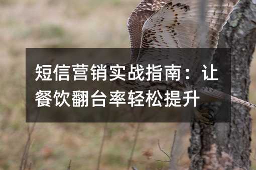 短信营销实战指南:让餐饮翻台率轻松提升