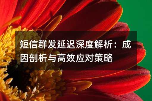 ����Ⱥ���ӳ���Ƚ����������������ЧӦ�Բ���